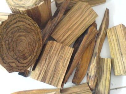 Agarwood vs so-called "white oud" or buaya agarwood