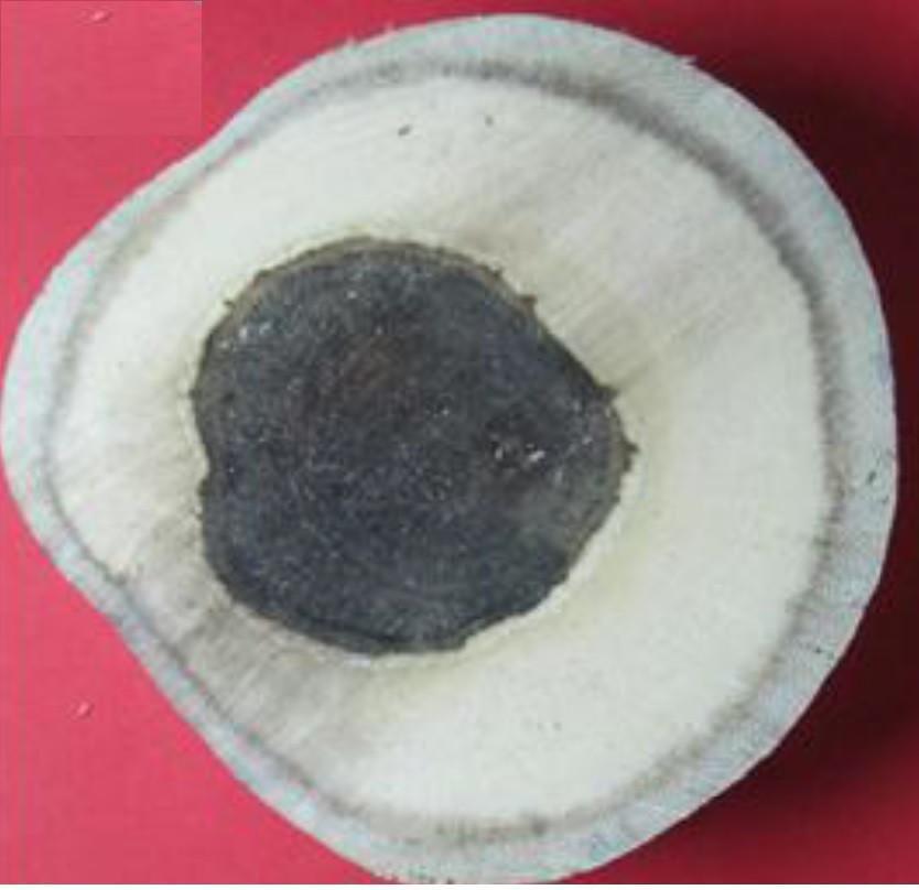 Big brand names? Genuine Agarwood (Oud) oil?