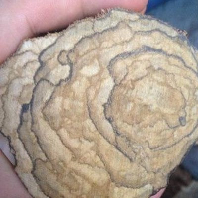 Agarwood Beads' Pattern