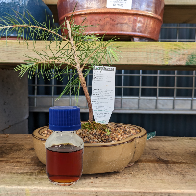 The Master Distiller's Secret