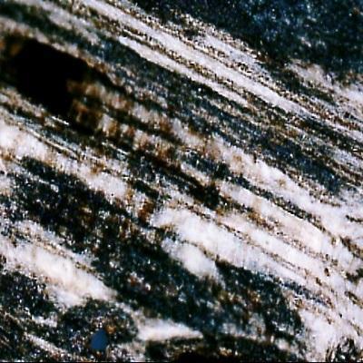 How to identify genuine agarwood chip, natural or cultivated