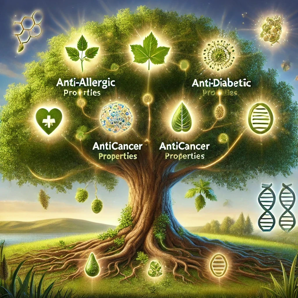 Agarwood  Benefit Summary