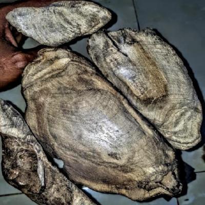 Agarwood beads and chips? The difference in material selection