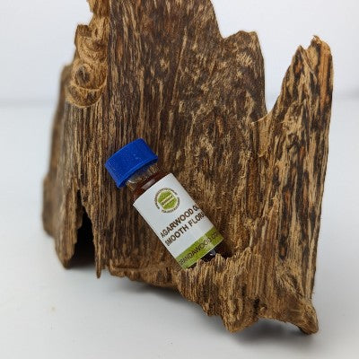 Why do Agarwood chips smell different than Agarwood oils?