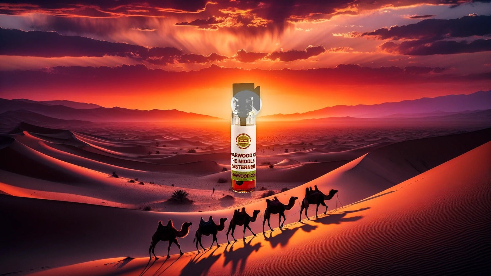 Oud Essential Oil 0.5ml 100% Pure Cultivated Agarwood Oil (Oud) Specialty- The Middle Easterner