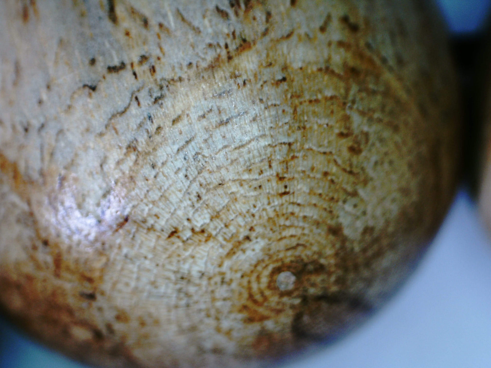 Z-SOLD-Z Light Resin Tigerwood (wild agarwood) bracelet -