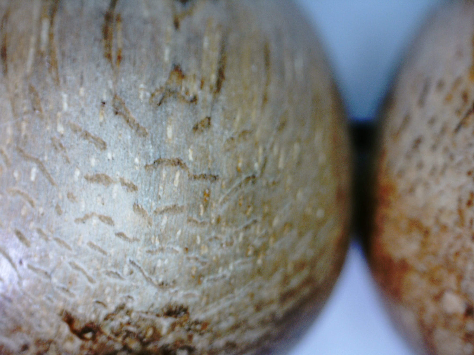 Z-SOLD-Z Light Resin Tigerwood (wild agarwood) bracelet -