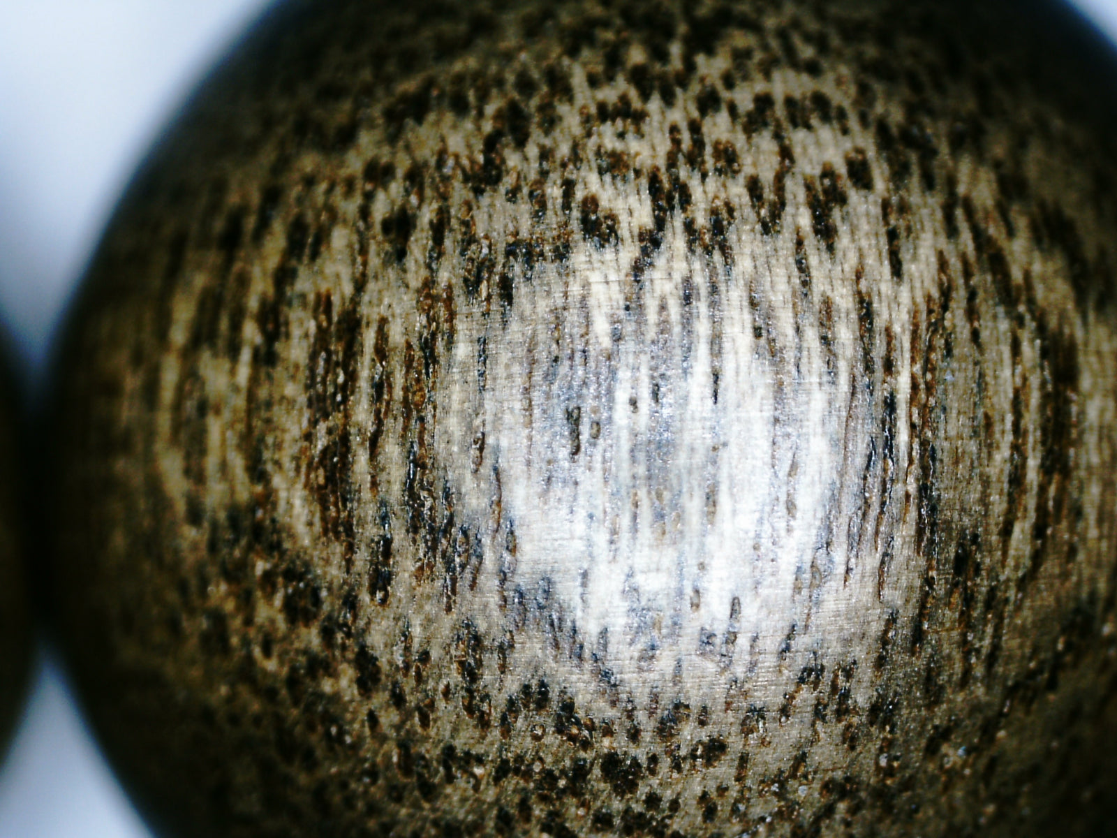 The One- Wild Vietnamese Agarwood Bracelet -