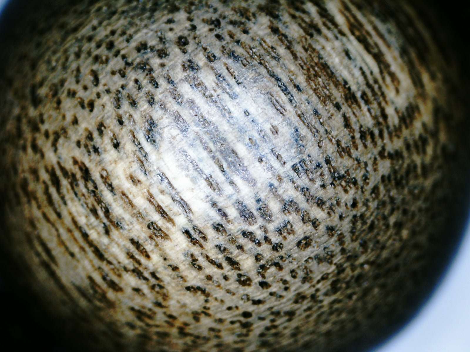 The One- Wild Vietnamese Agarwood Bracelet -