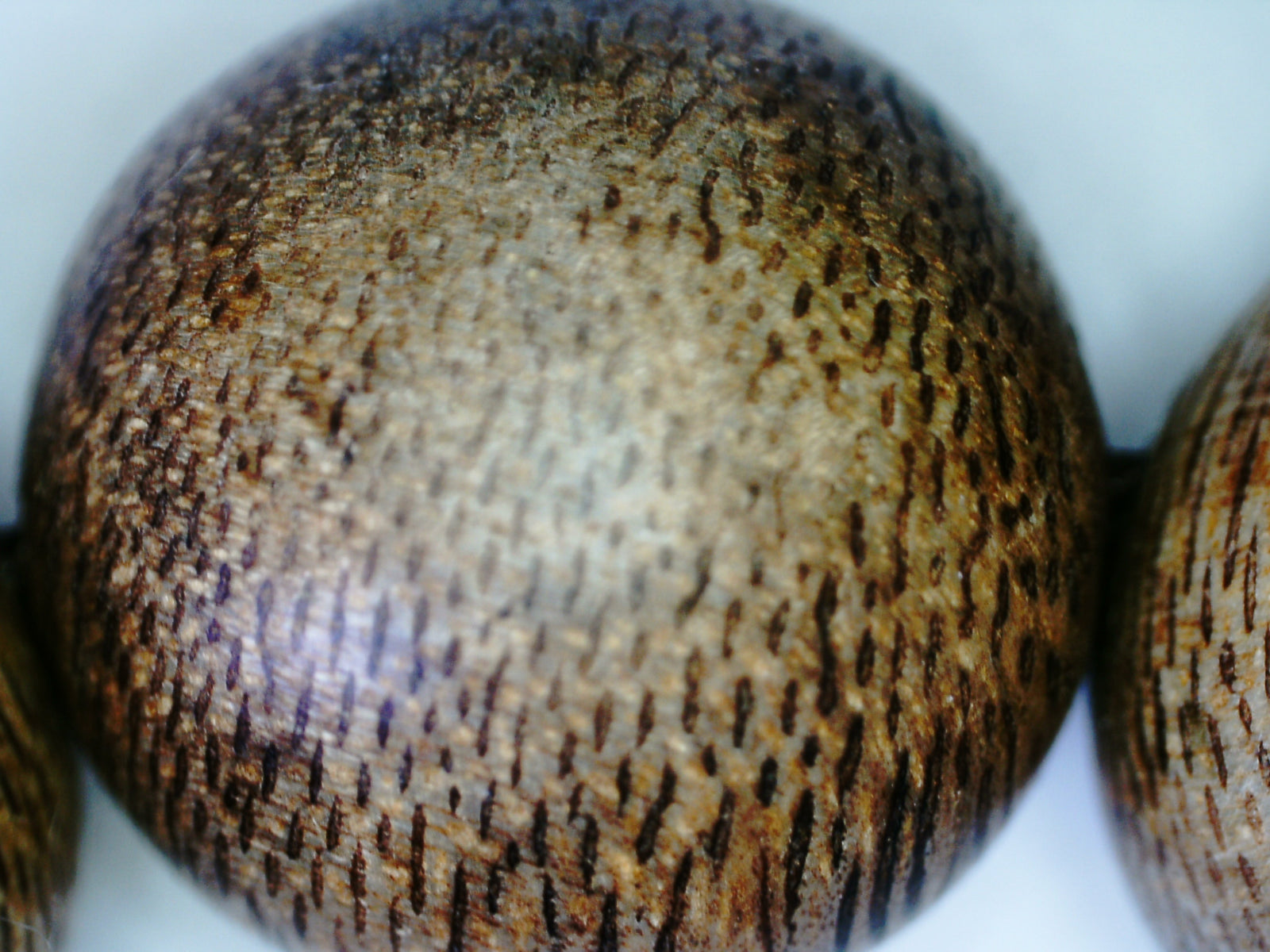 The BPB - Vietnamese Wild Agarwood Bracelet 14.5mm- 15g -