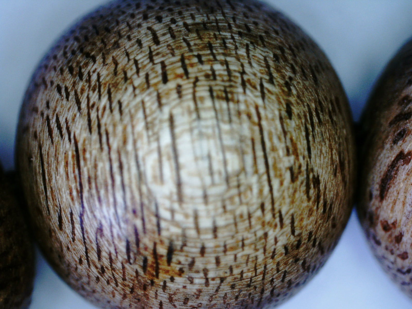The BPB - Vietnamese Wild Agarwood Bracelet 14.5mm- 15g -