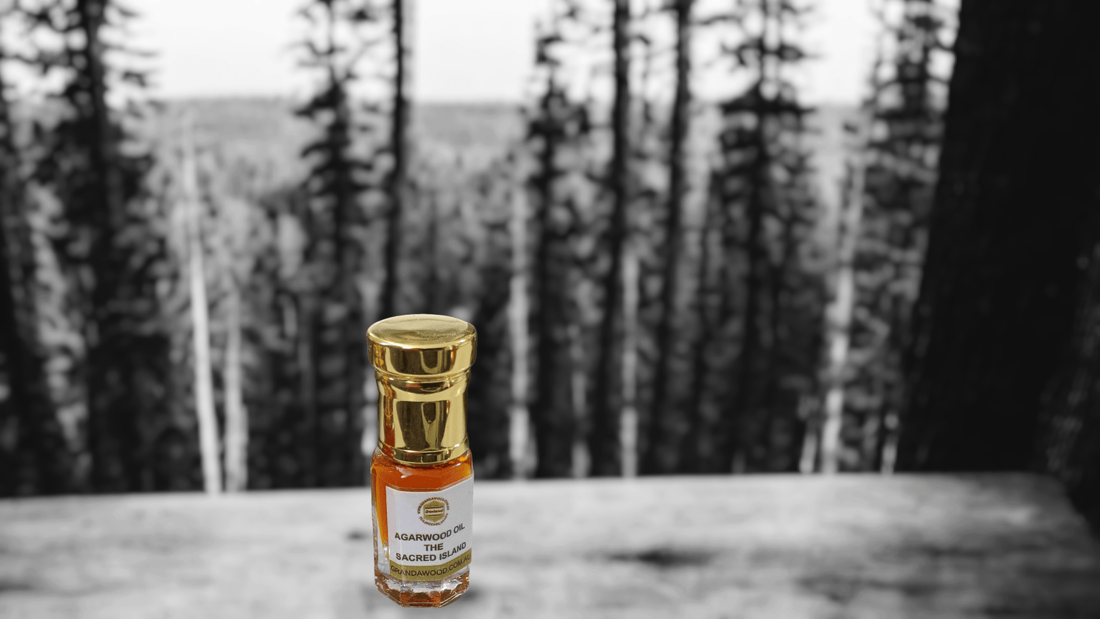 *New* The Sacred Forest Island 100% Pure Wild Oud Oil , distilled from Aquilaria Sinensis - 3ml