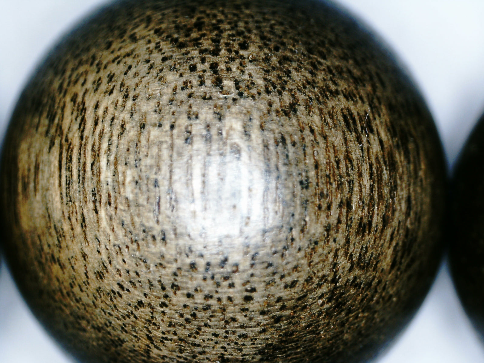 The One- Wild Vietnamese Agarwood Bracelet -