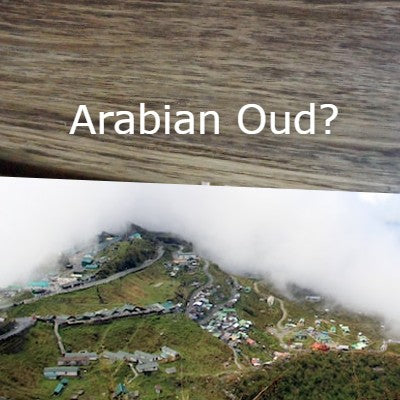 Does Arabian Oud come from Arab countries?