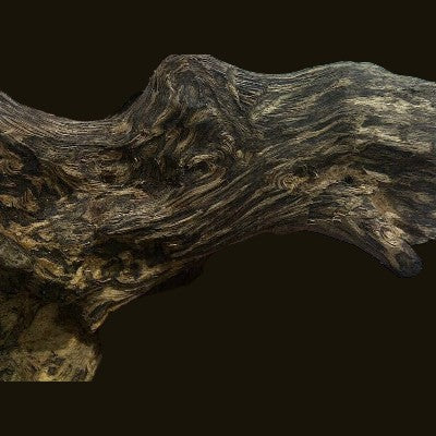 New To Agarwood? I have some tips for you