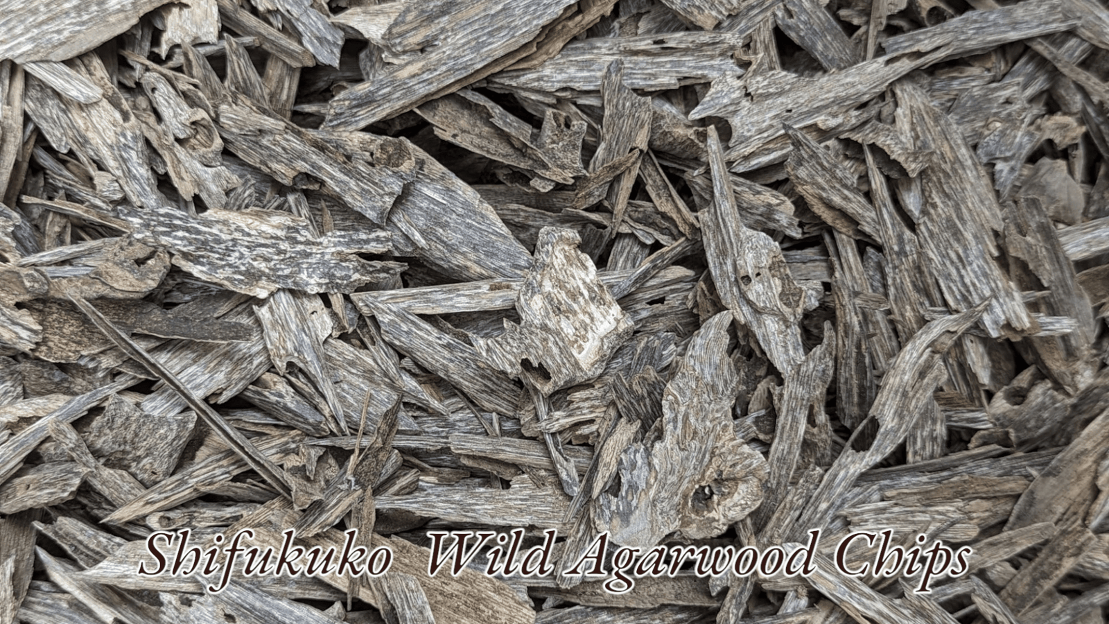 agarwood chip Shifukuko Wild Sustainable Agarwood Chips