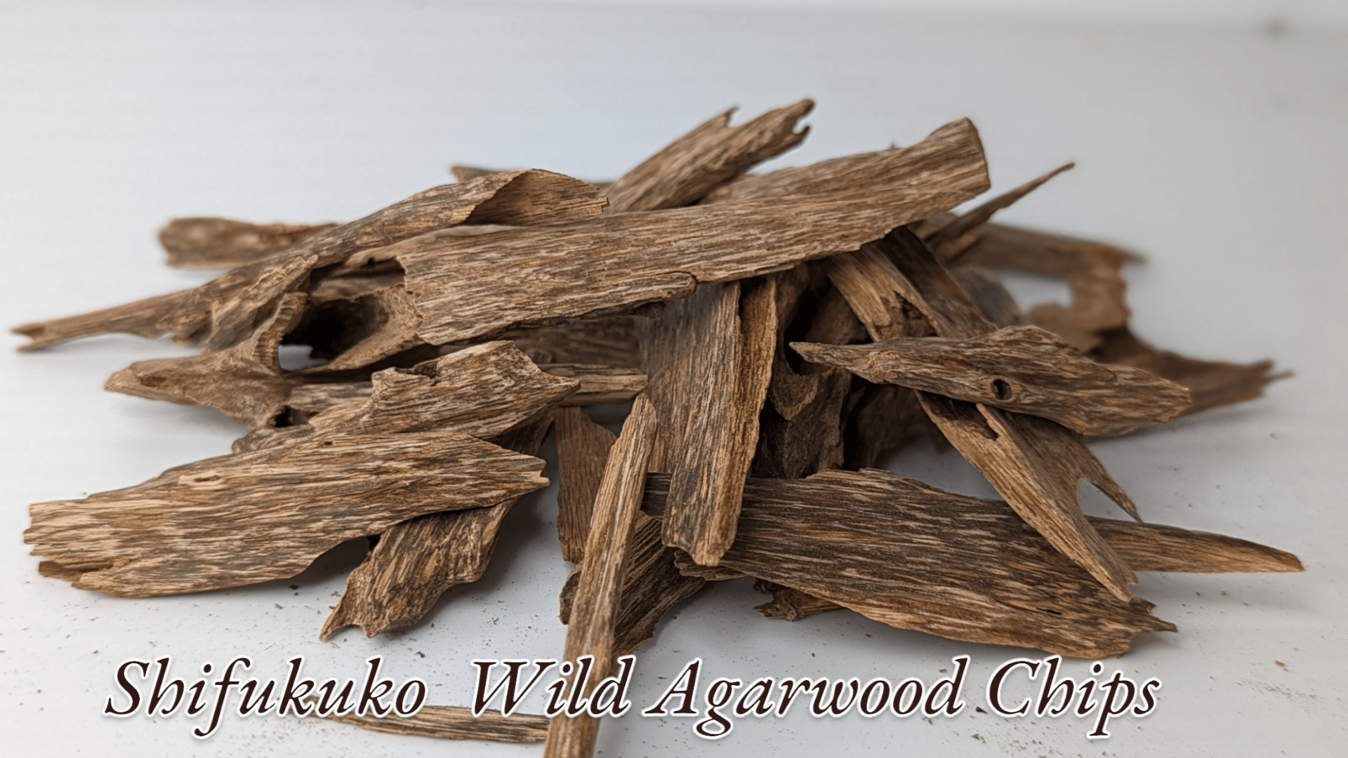 agarwood chip Shifukuko Wild Sustainable Agarwood Chips