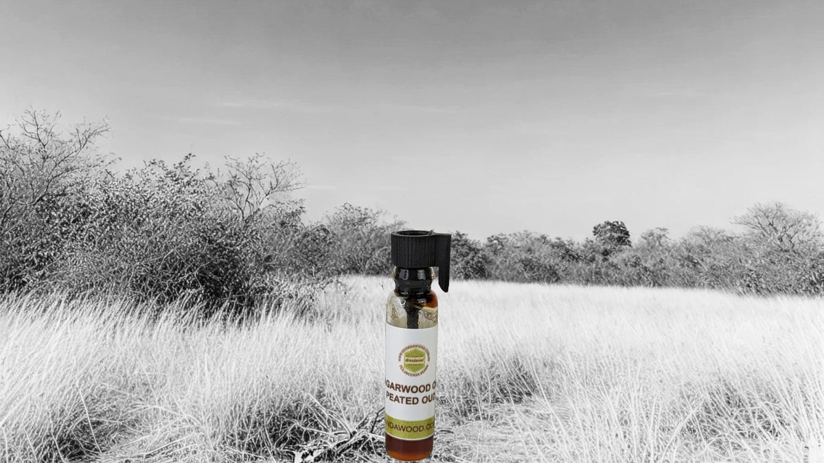 Agarwood Oil 0.5g The Peated Oud - 100% Pure Cultivated "brewed" Oud Oil