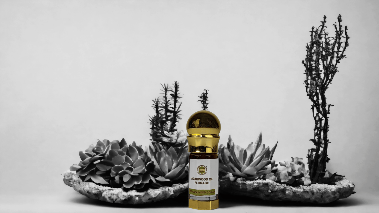 agarwood oil Florage - Decades of Dedication, Drops of Distinction 12-Year Aged Oud Oil