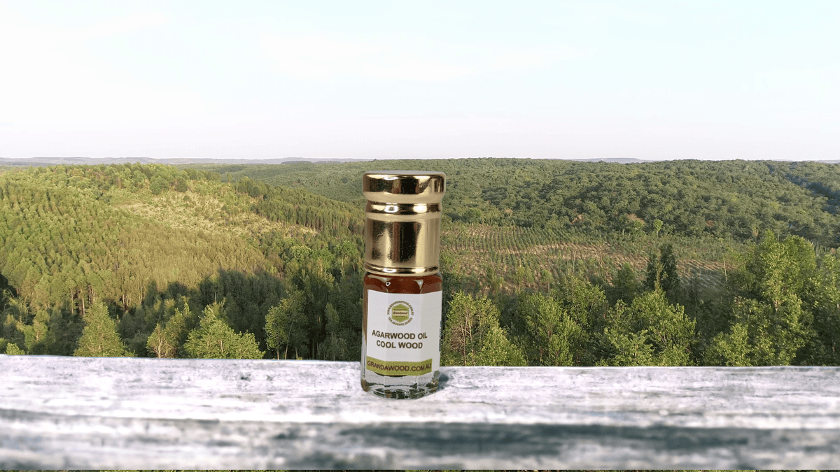 Cool Wood - 100% Pure Supercritical Co2 extraction Oud oil - 3g