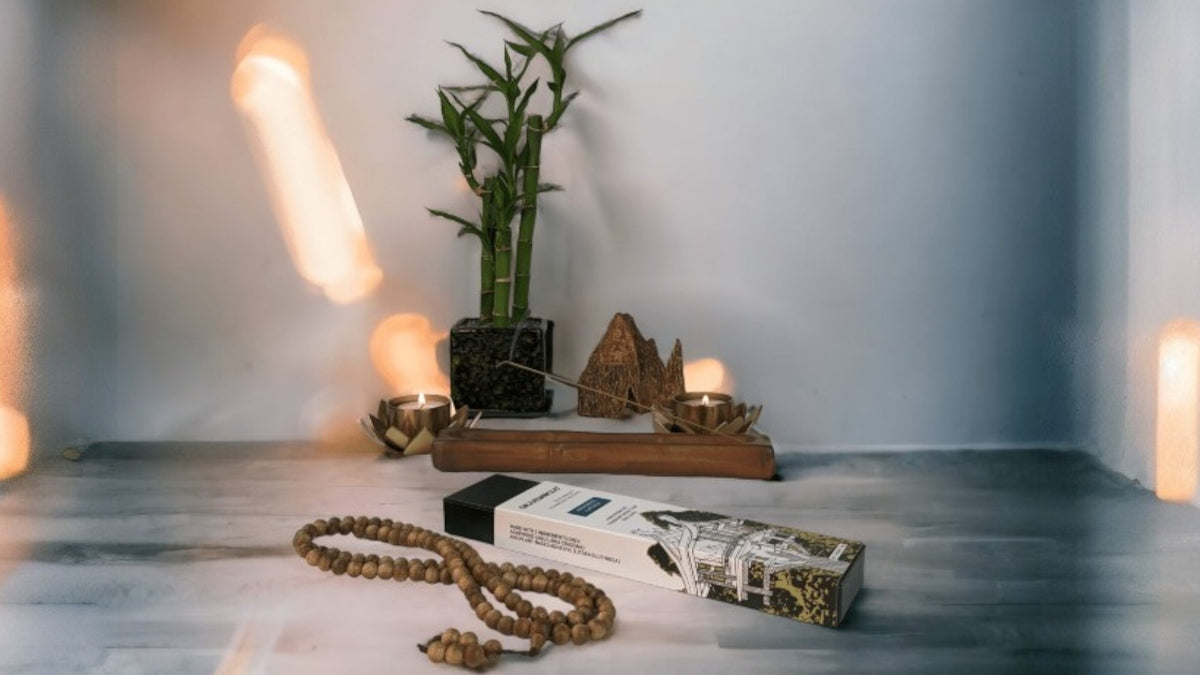 觉醒 - Grandawood 野生沉香 - 优质 - 10 克或 20 克 沉香香