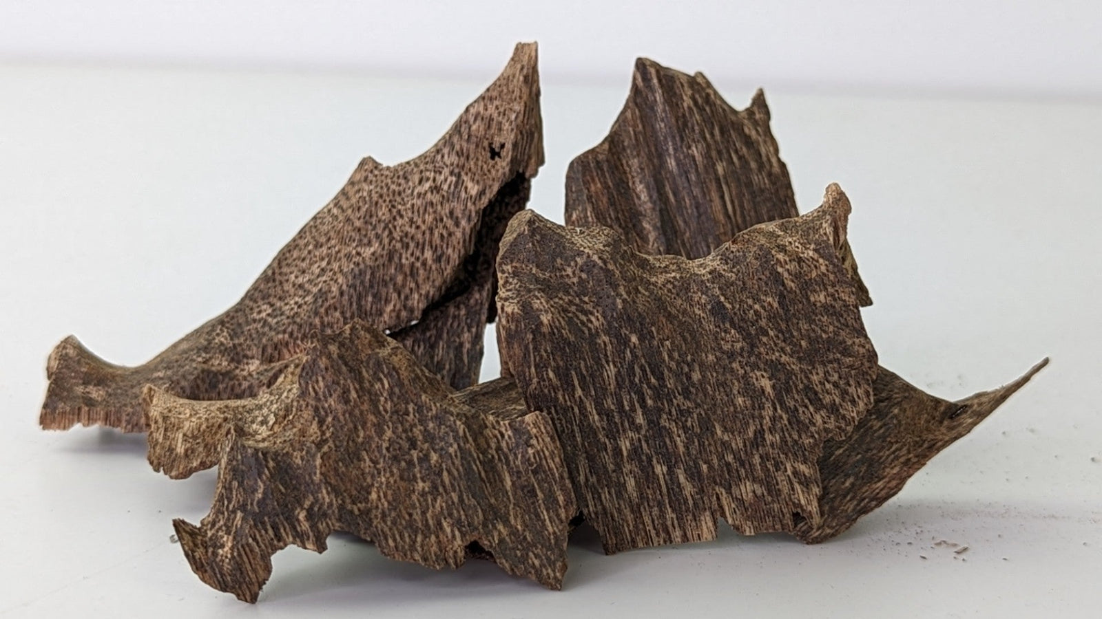 Incense Edge Wood - handselected from the most resinous area of Agarwood chips