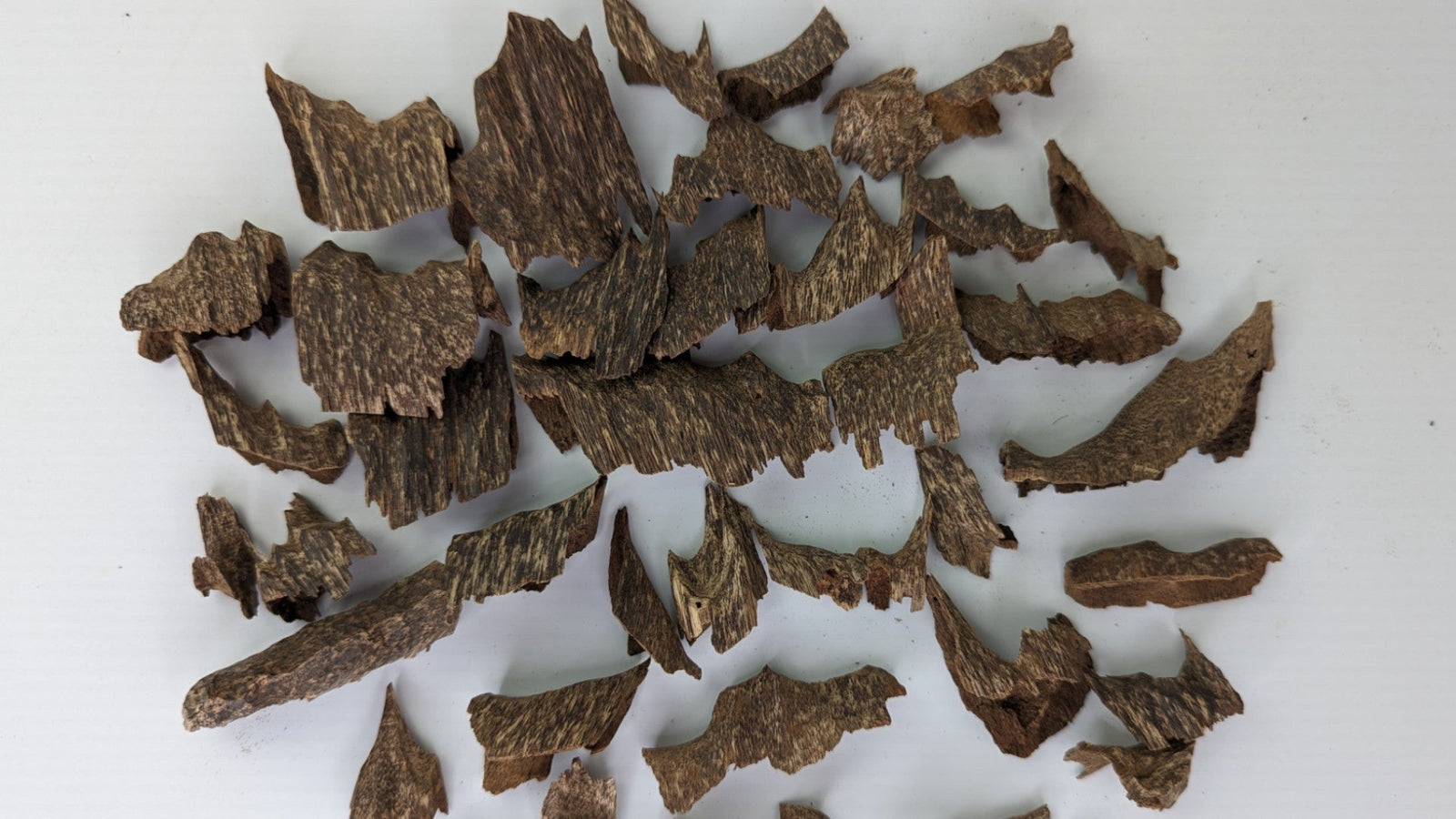 Incense Edge Wood - handselected from the most resinous area of Agarwood chips