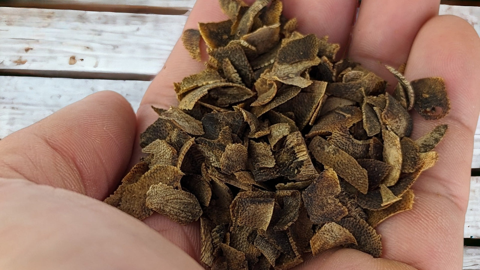 Incense Shreded Green Kygarwood - cultivated Ky Nam Agarwood chip