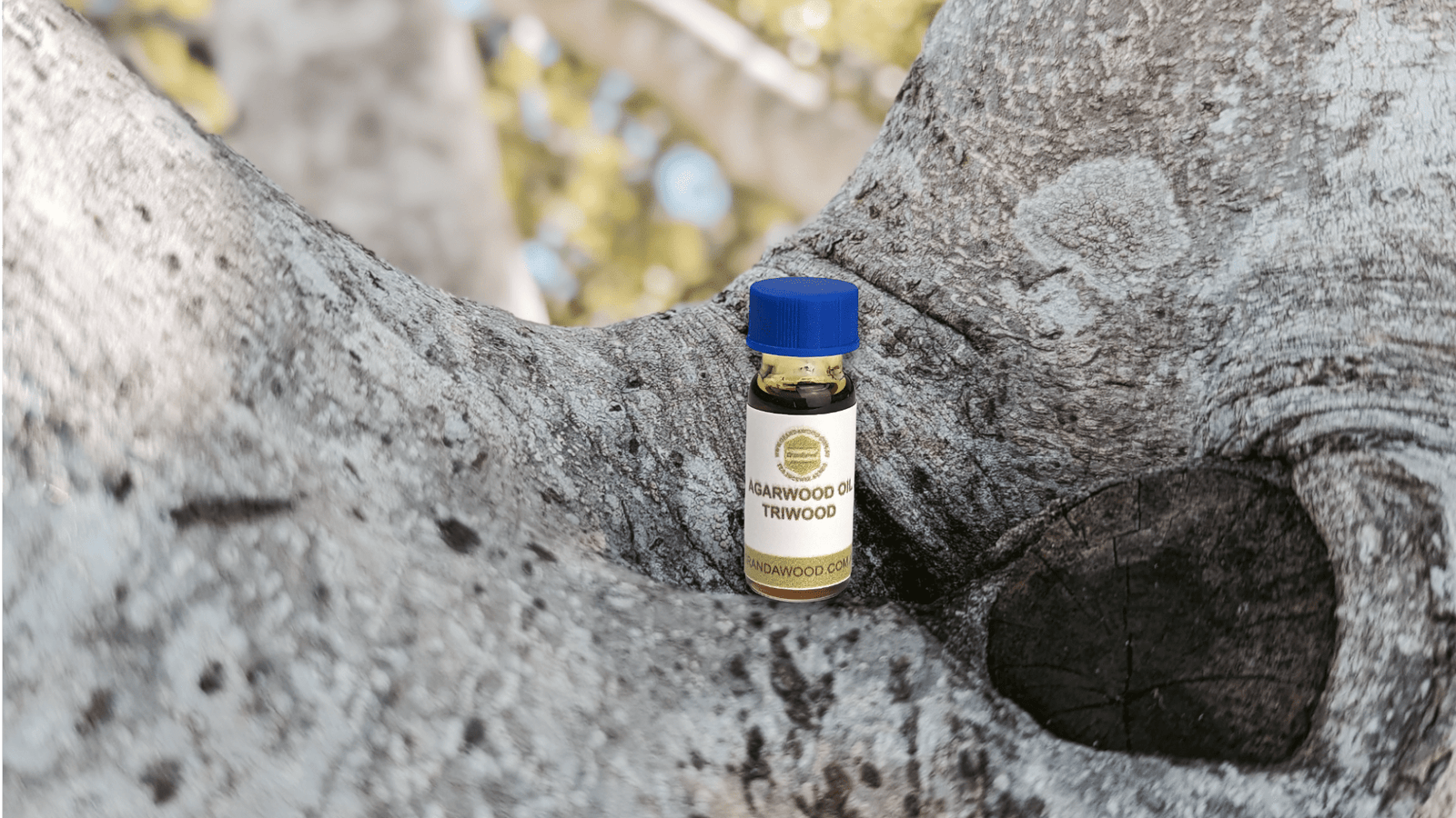 Oud Essential Oil 1.5ml *New* Triwood -  the Amazing Aroma of Three Different Agarwood Species in one bottle