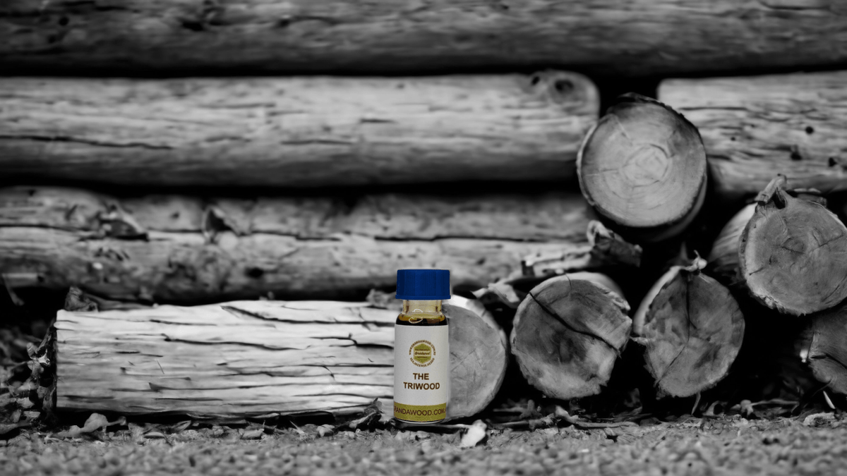 Oud Essential Oil *New* Triwood -  the Amazing Aroma of Three Different Agarwood Species in one bottle