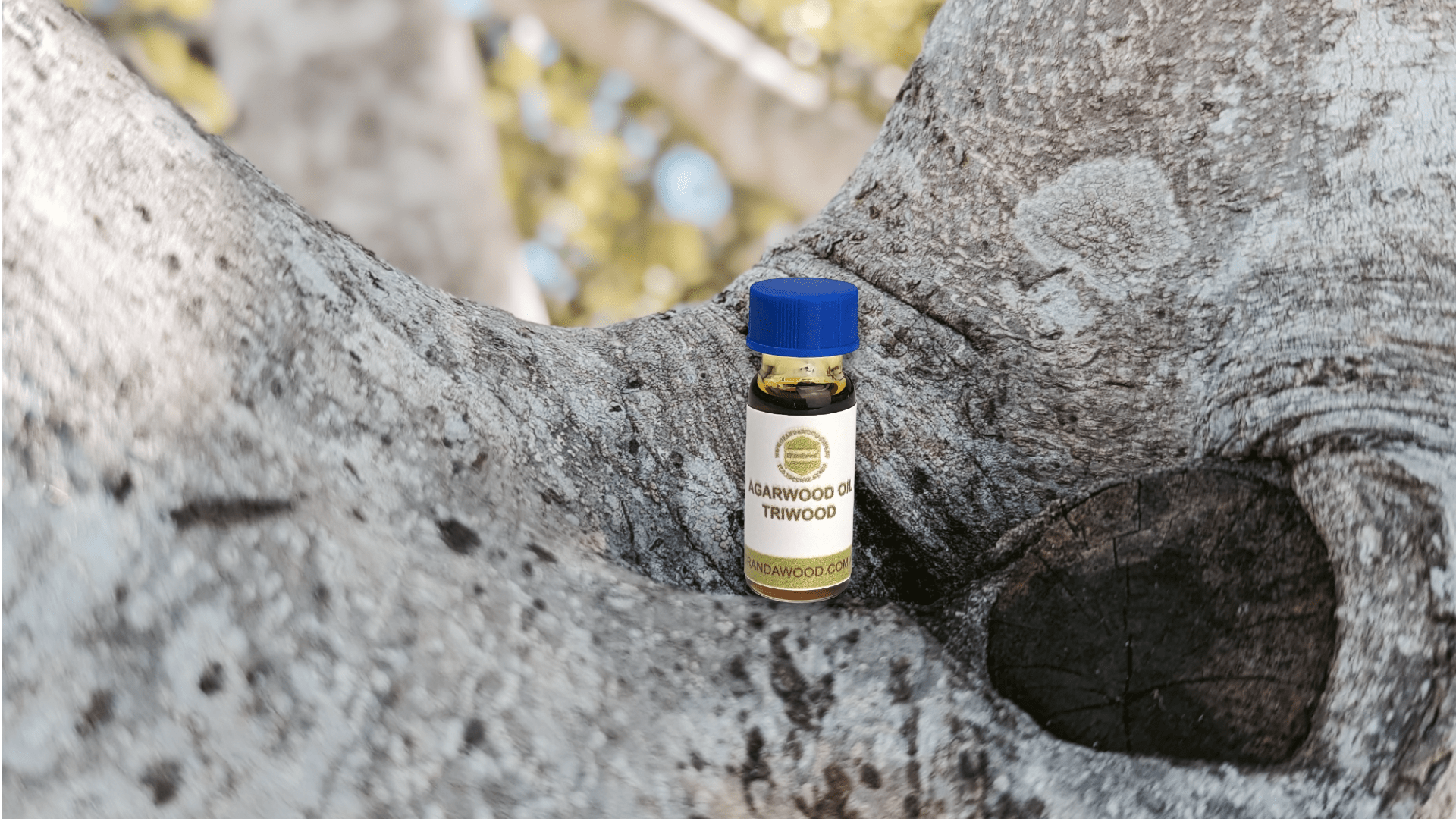 *New* Triwood - the Amazing Aroma of Three Different Agarwood Species in one bottle - 1.5ml