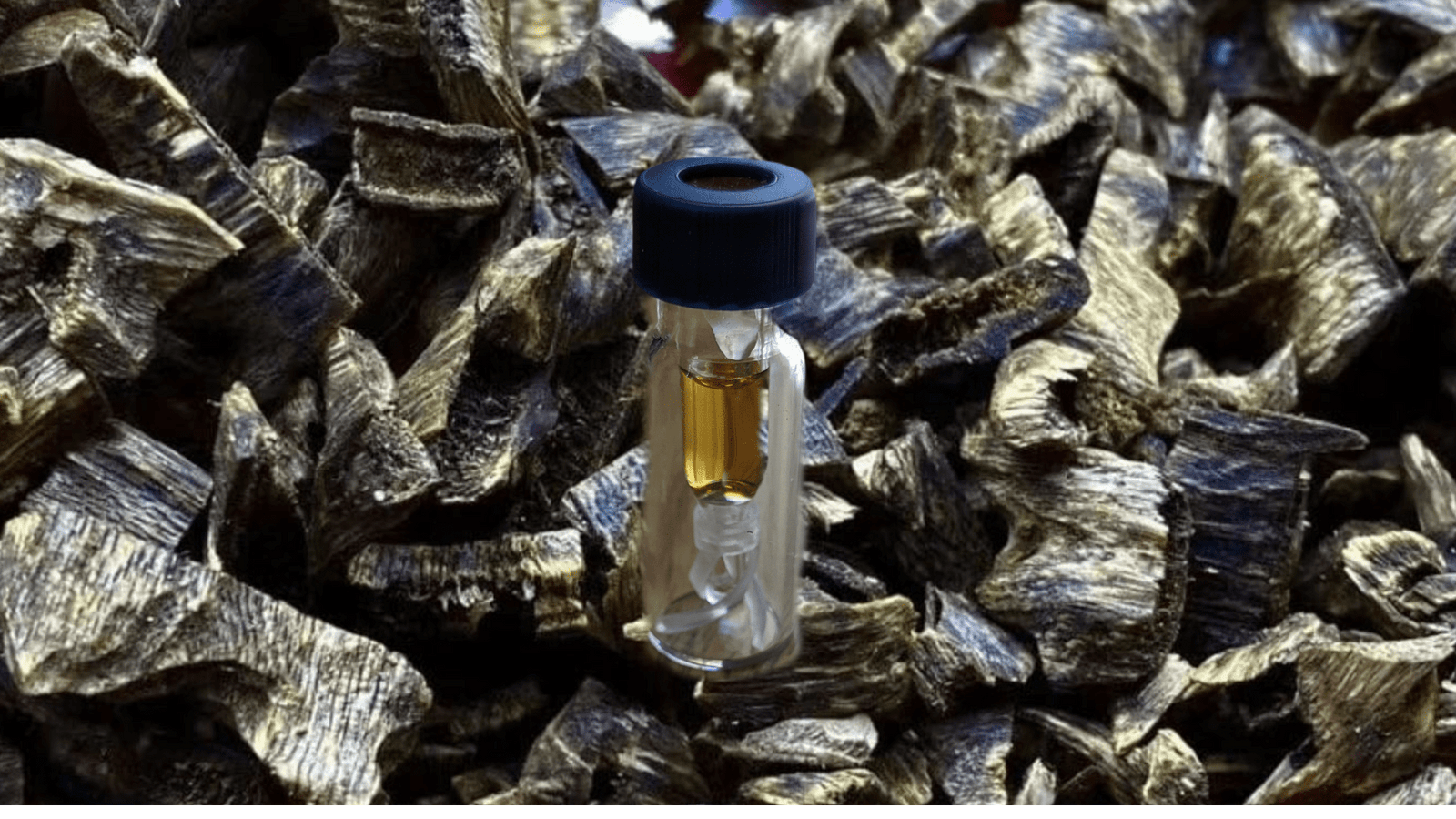 *New* The CKN-Unfair Copy of the Wild - 3g