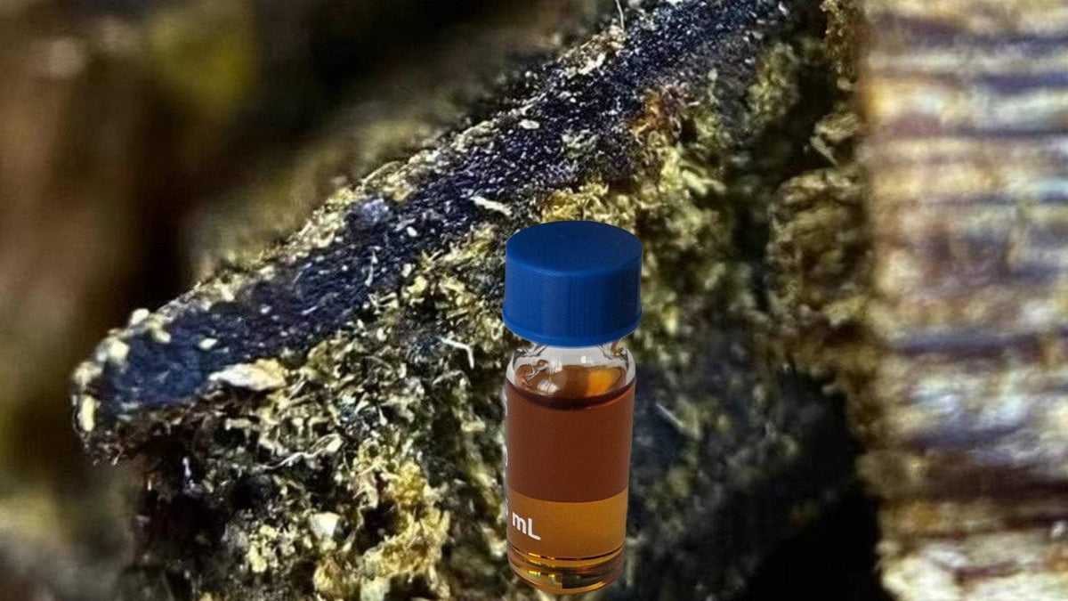 *New* The CKN-Unfair Copy of the Wild - 1.5 g