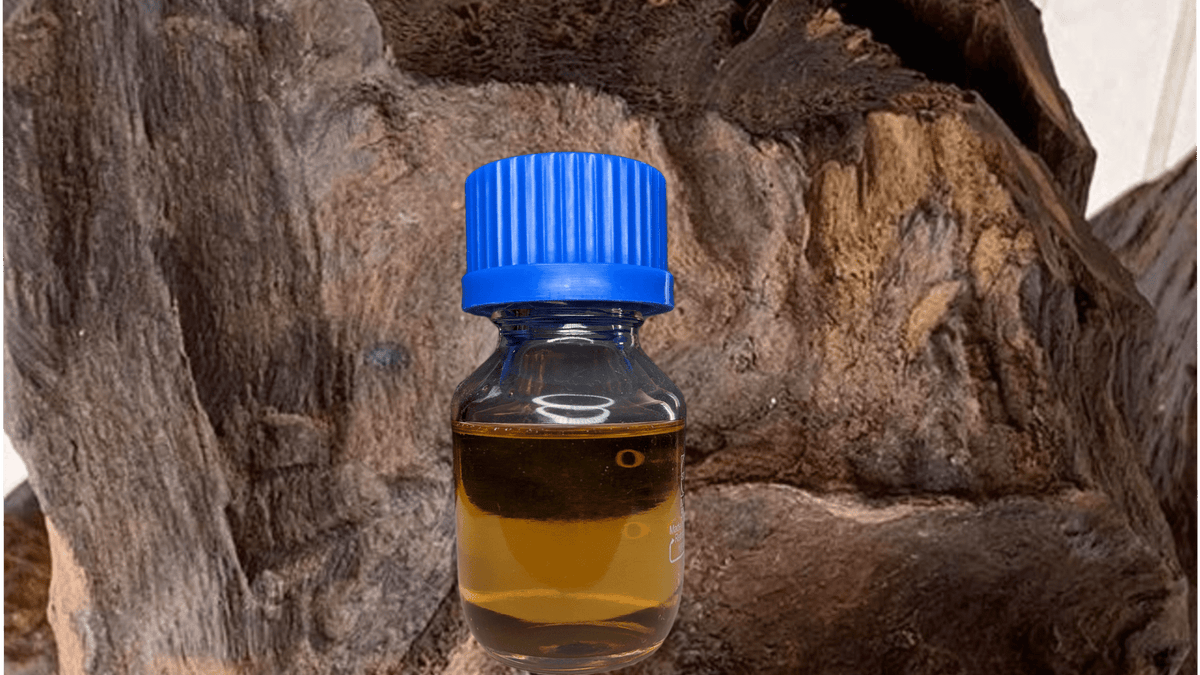100% Pure "White Oud" Oil ( Aetoxylon sympetalum) -