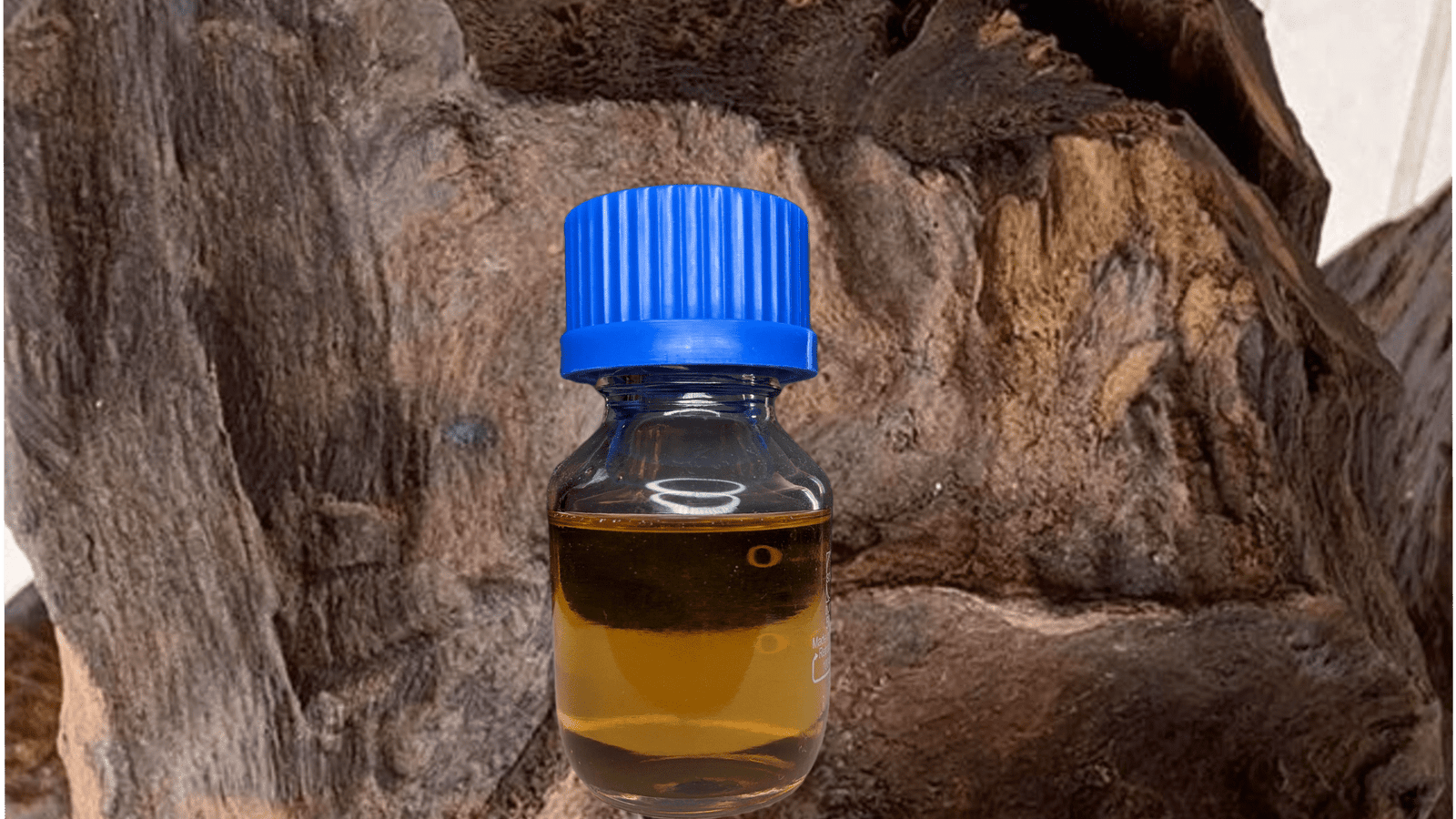 100% Pure "White Oud" Oil ( Aetoxylon sympetalum) - 6 ml