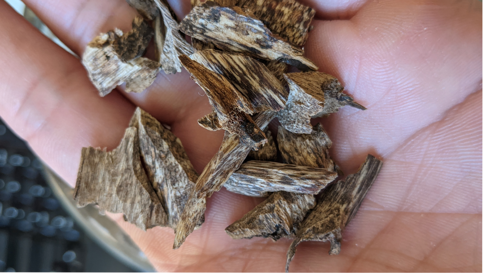 The Mini Fragrant Wood - Hand-selected Aromatic "Wild" Agarwood Chips -