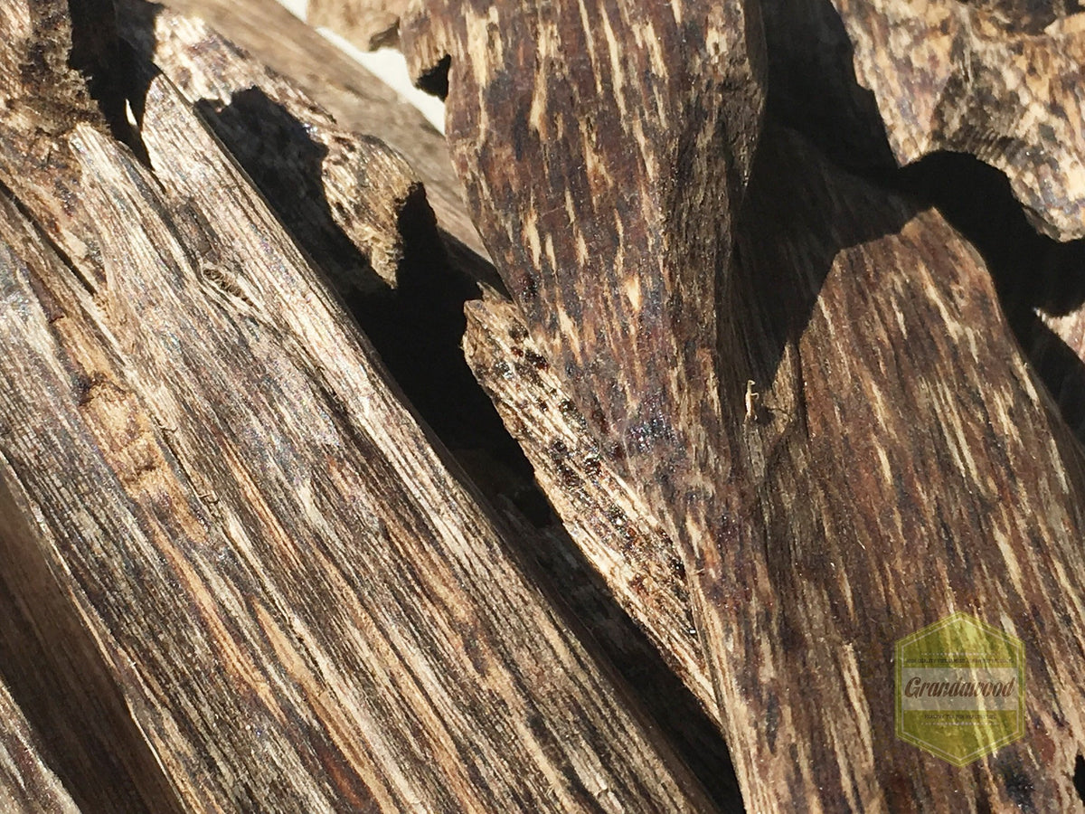 *SOLD OUT* High Grade Agarwood chunk chips Do Xi -