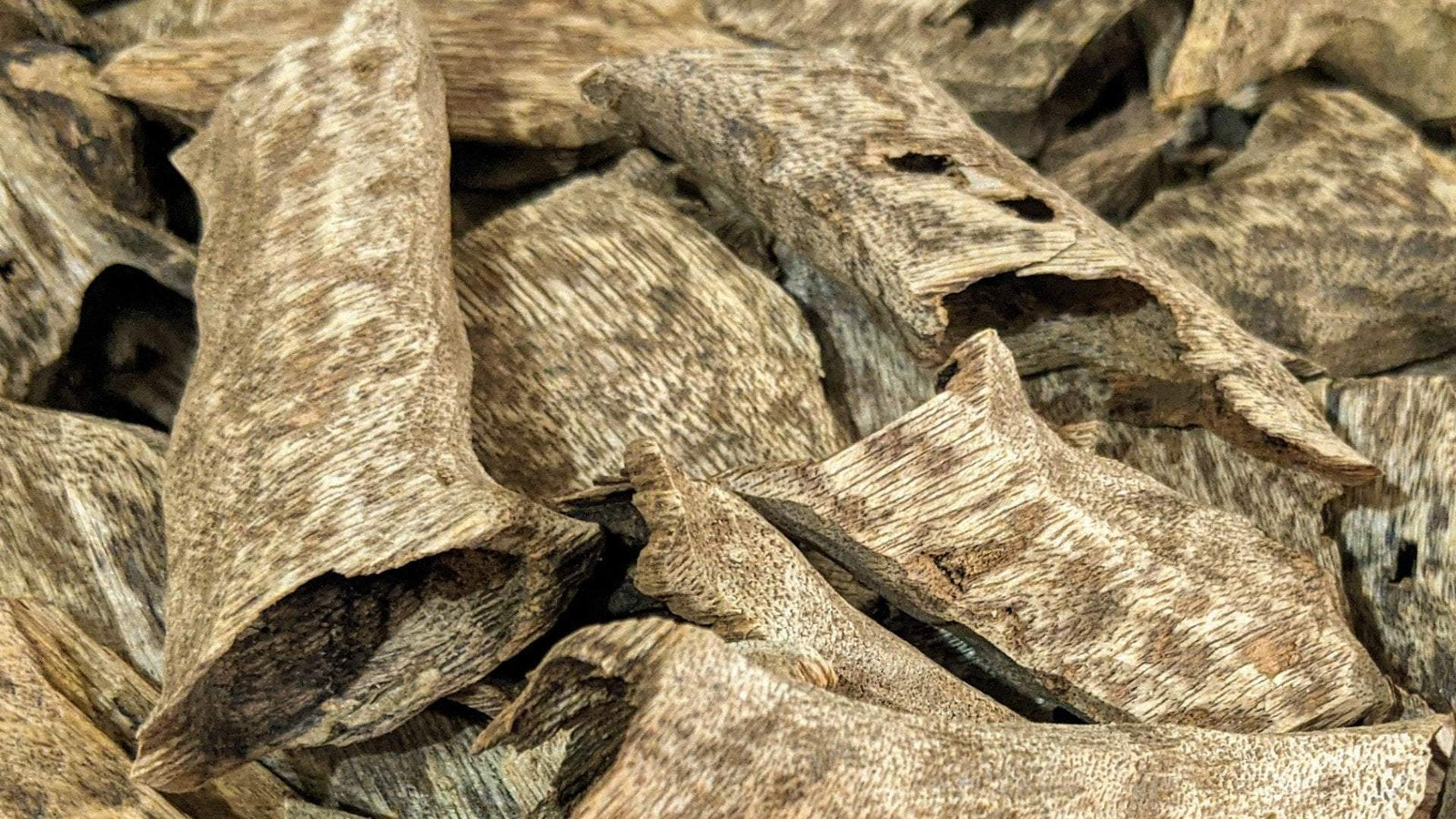 The Great Karma - Cultivated Vietnamese Agarwood - grown and developed by a monk -