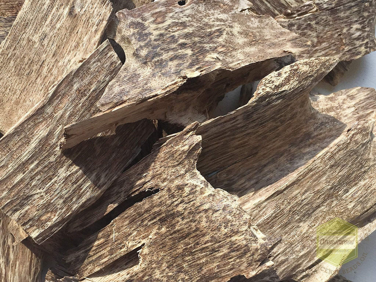 The Great Karma - Cultivated Vietnamese Agarwood - grown and developed by a monk -