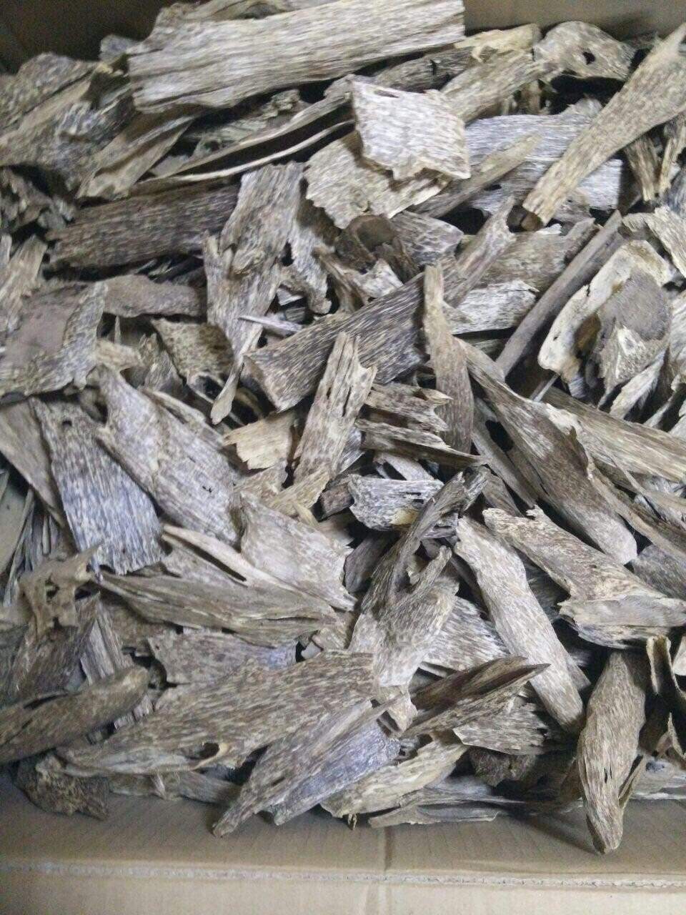 The Great Karma - Cultivated Vietnamese Agarwood - grown and developed by a monk -