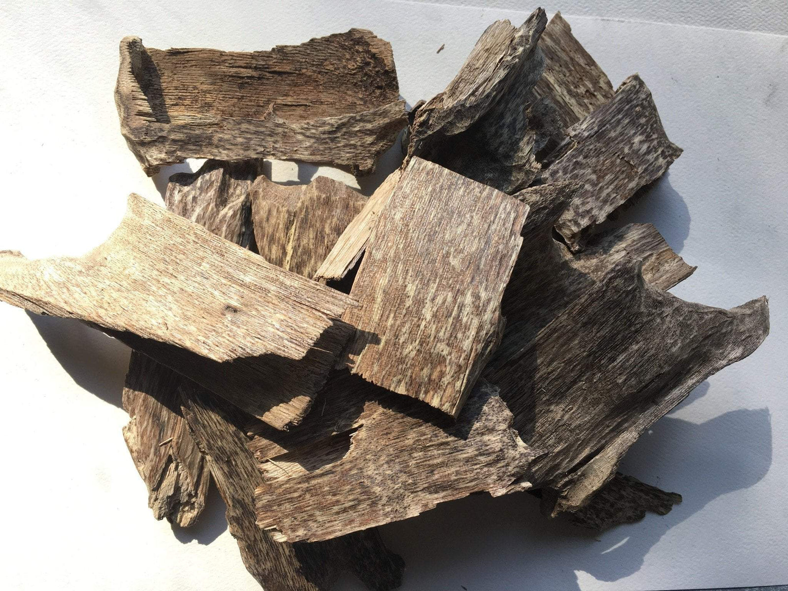 The Great Karma - Cultivated Vietnamese Agarwood - grown and developed by a monk -