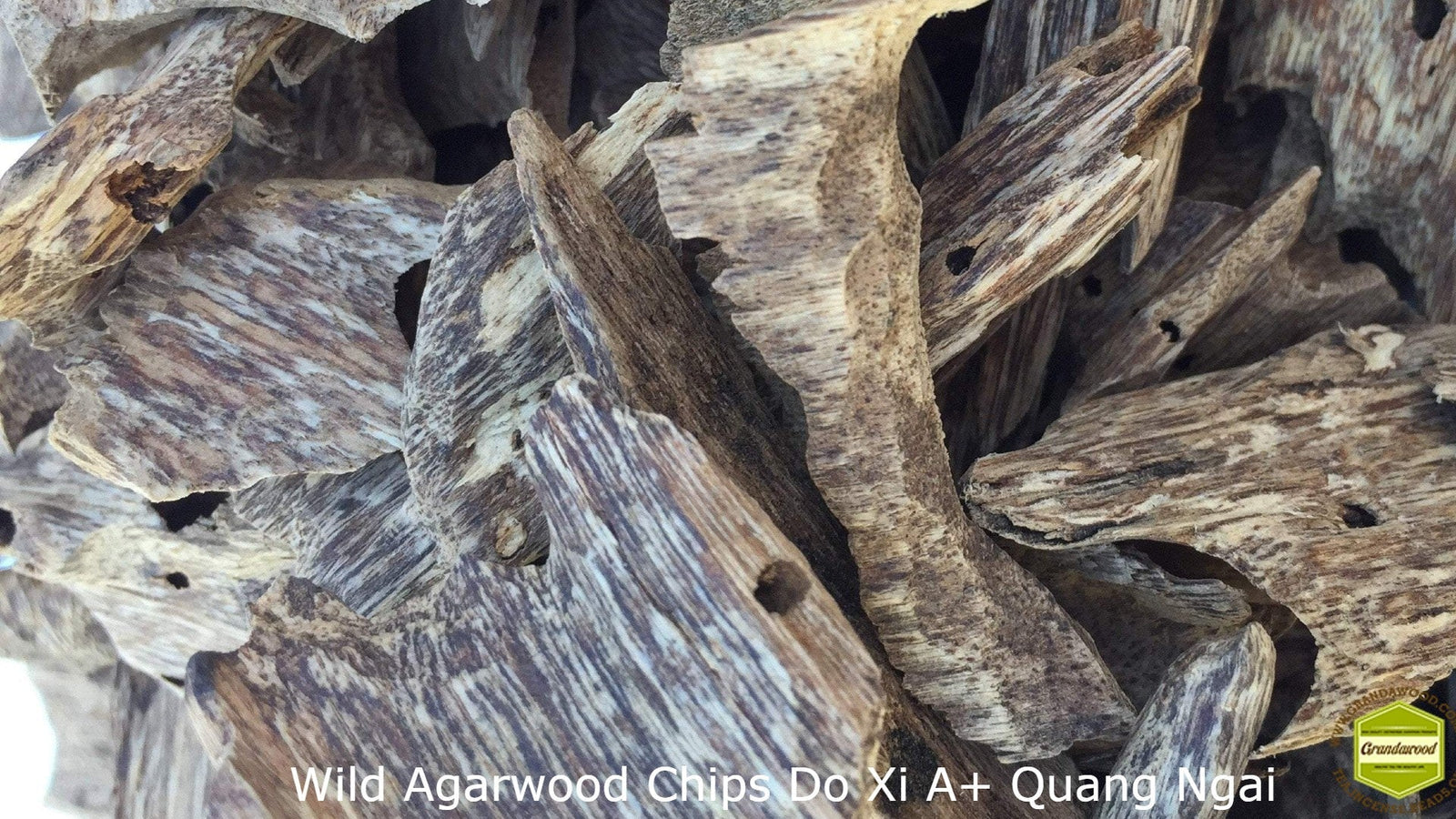 Wild Agarwood Chips Do Xi A+ Quang Ngai -