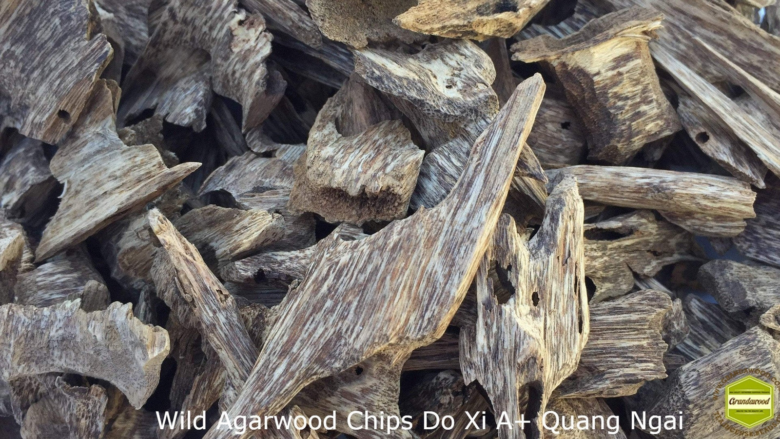 Wild Agarwood Chips Do Xi A+ Quang Ngai -