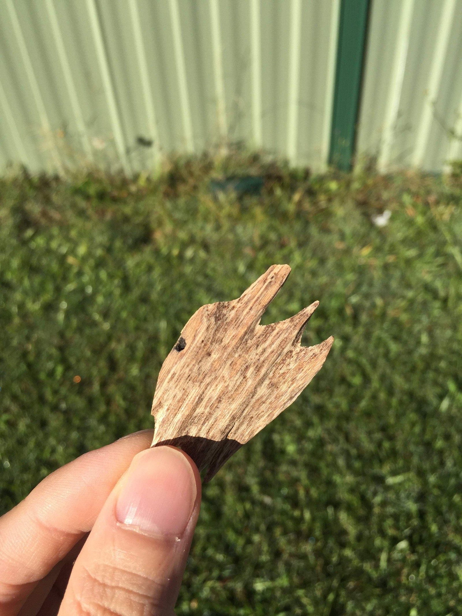Wild Agarwood Chips Do Xi A+ Quang Ngai -