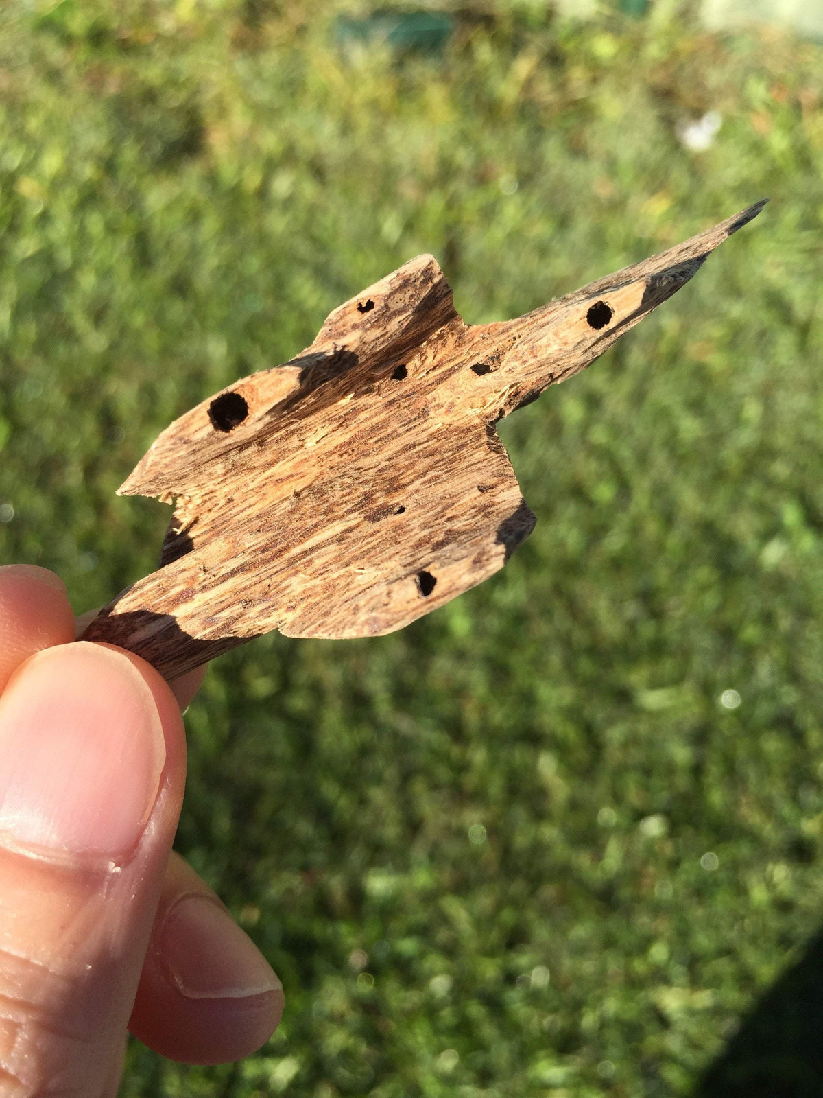 Wild Agarwood Chips Do Xi A+ Quang Ngai -