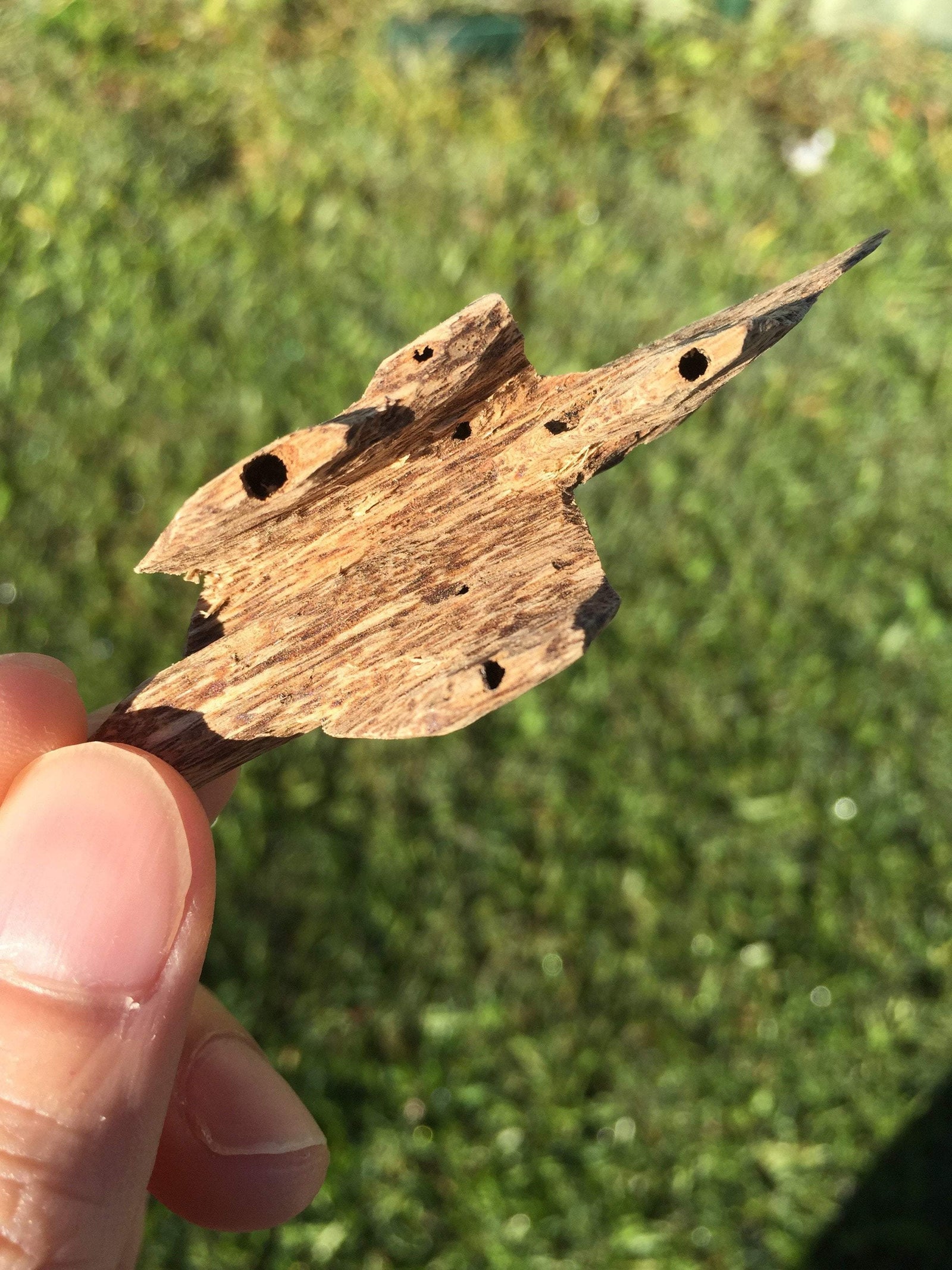 Wild Agarwood Chips Do Xi A+ Quang Ngai -