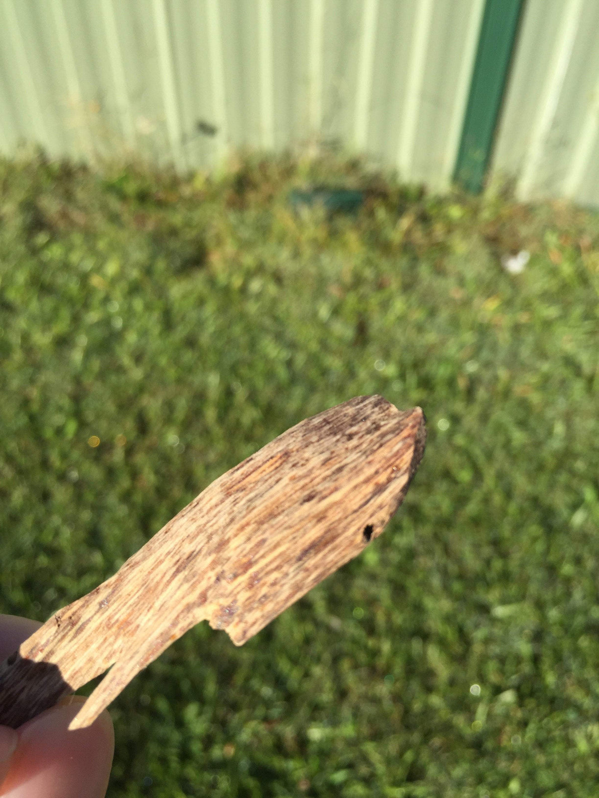 Wild Agarwood Chips Do Xi A+ Quang Ngai -