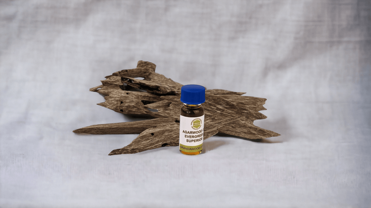 Pure Agarwood Oil Grandawood Agarwood