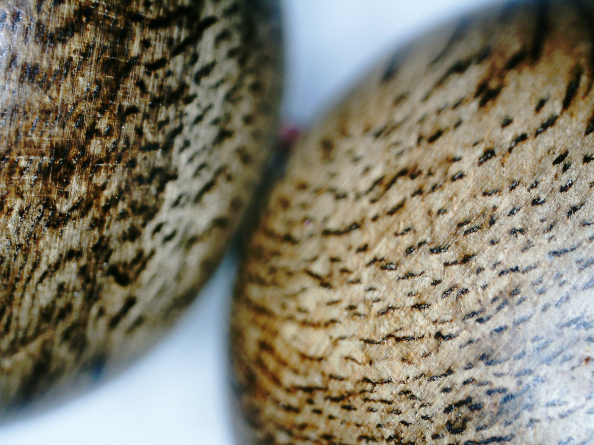 *New* Wild Agarwood Bracelet - Single Bead- or a bracelet- 18mm -