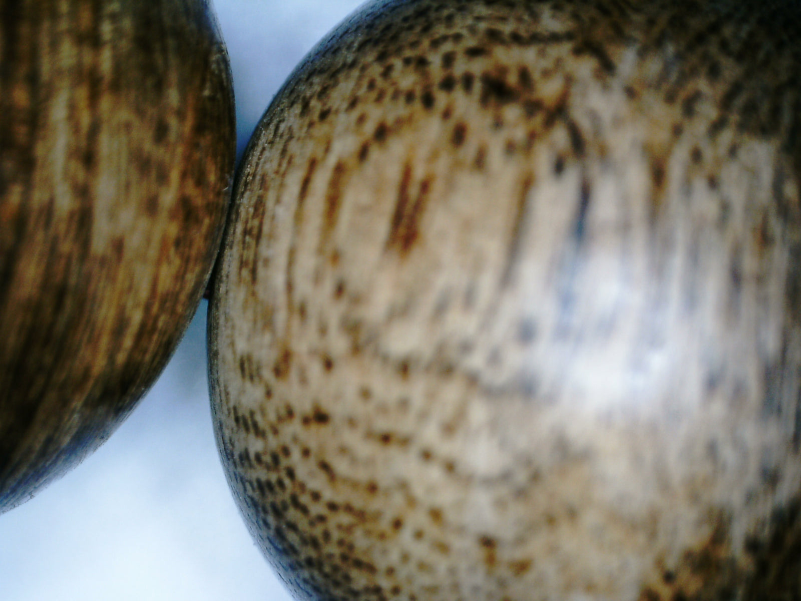 *New* Wild Agarwood Bracelet - Single Bead- or a bracelet- 18mm -